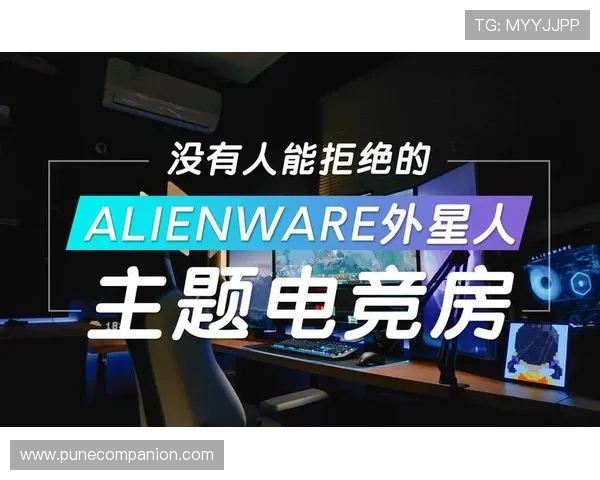 在db电竞官网官网注册账号，体验丰富的电竞游戏内容与多样的互动活动