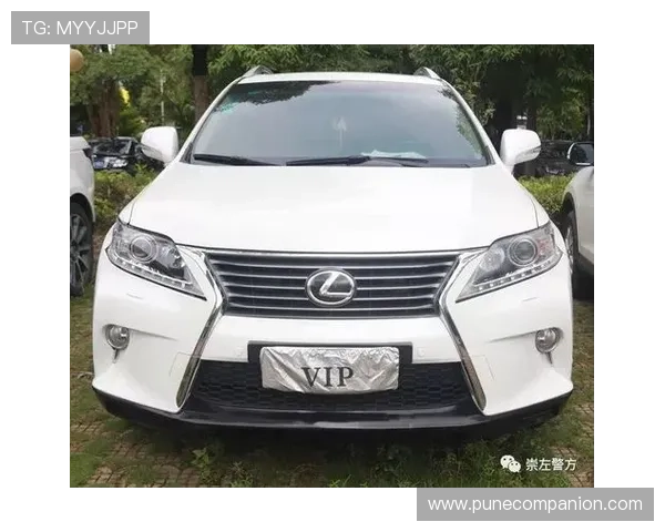 奔驰宝马赌博事件对玩家权益保护的启示：行业规范与法律法规的完善路径