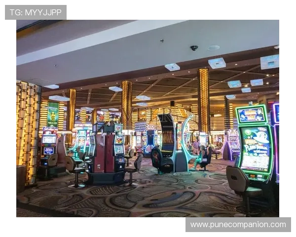 通过全站登录老虎机真人版，畅享全天候无休的高品质真人娱乐体验