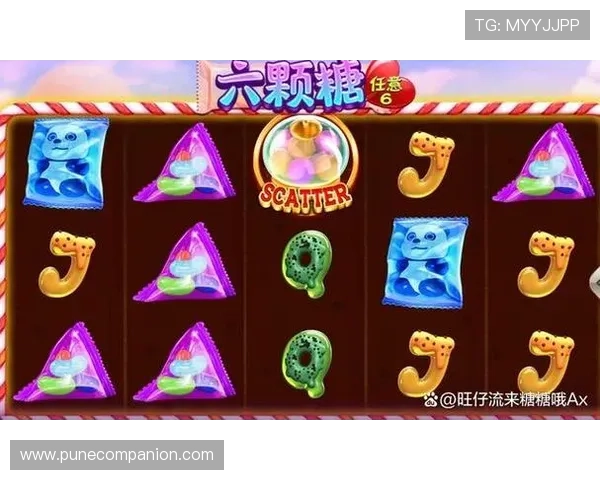 高品质免费老虎机单机版，逼真画面和丰富奖励等你来探索